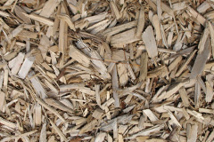 biomass boilers Glendevon